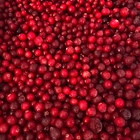 Photo 1- Журавлина (Канада)