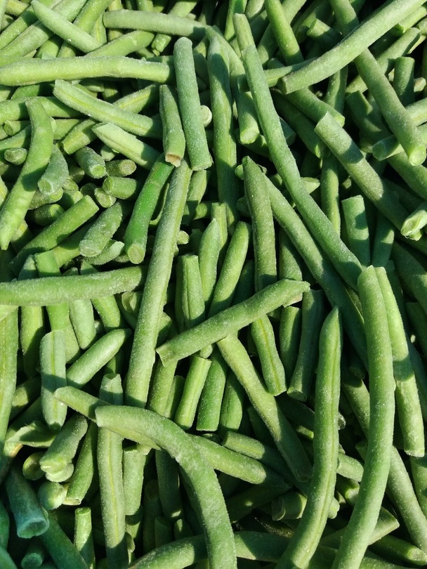 Photo 1- Green beans,  whole (Poland)