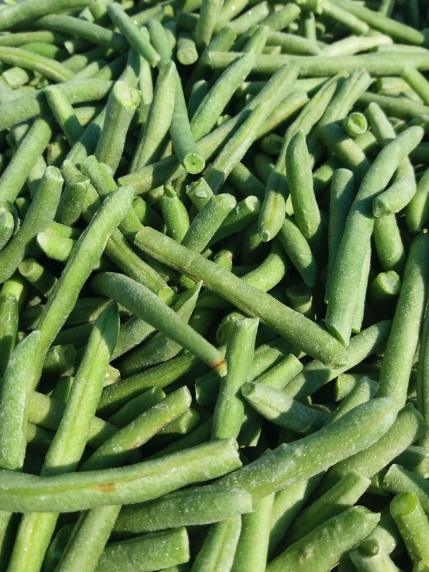 Photo 1- Фасоль стручковая целая (Польша)
