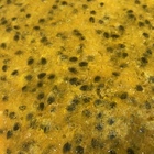 Photo 1- Маракуйя пюре заморожене