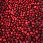 Photo 1- Cranberry (Ukraine)