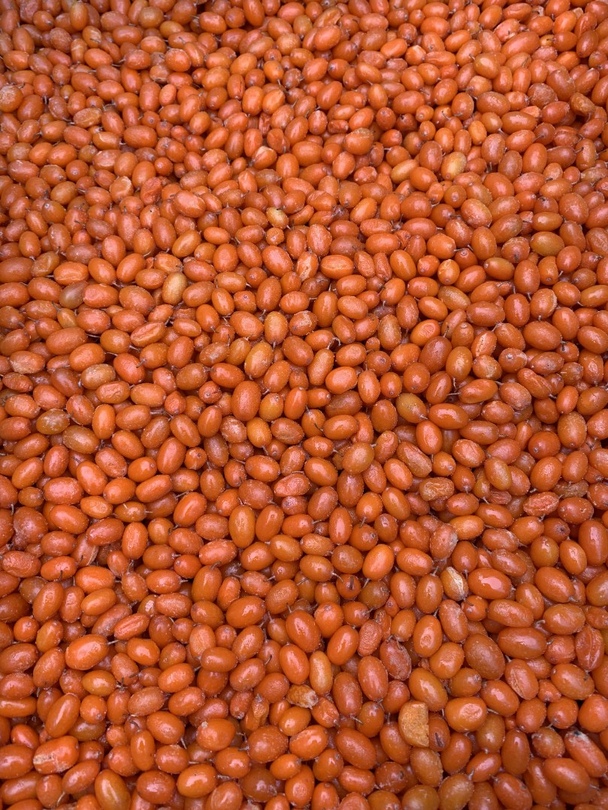 Photo 1- Sandthorn (sea buckthorn), premium quality (Ukraine)