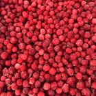Photo 1- Red currant (Ukraine)