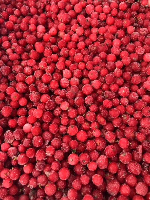 Photo 1- Red currant (Ukraine)