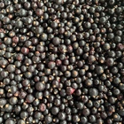 Photo 1- Black currant, premium quality (Ukraine)