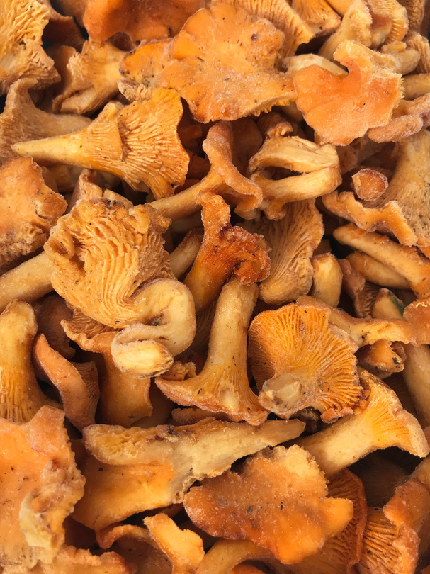 Photo 1- Гриби Лисички швидкозаморожені