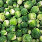 Photo 1- Brussels sprouts (Ukraine)