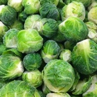 Photo 1- Brussels sprouts (Ukraine)