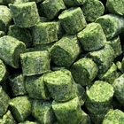 Photo 1- Spinach, shredded