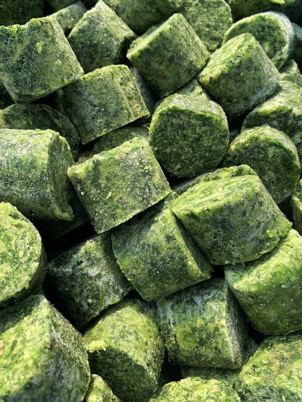 Photo 1- Spinach, shredded