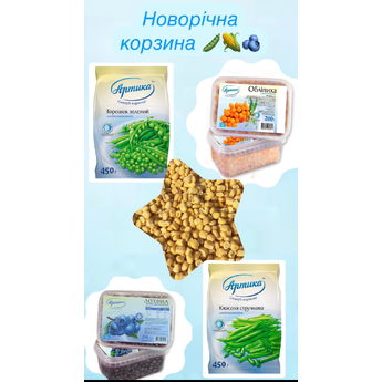 Новорічна пропозиція